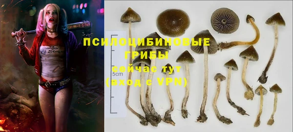 гидропоника Белоозёрский