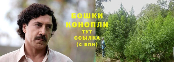 мяу мяу мука Белокуриха